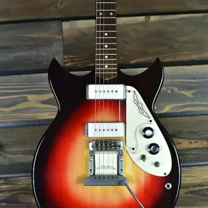 1969 micro frets signature w original hard case