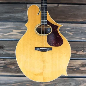 carlo greco new york 1980 brazilian rosewood 1 of 2 tenor guitar