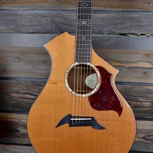 breedlove cm master class. built in bend or