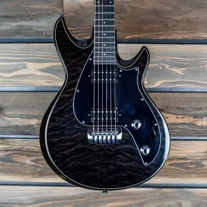 taylor 2011 sb2 s black & espresso mint w g&g hard case!