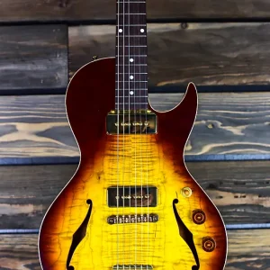b&g guitars little sister private build